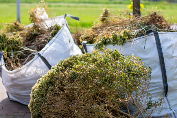 Best Construction Debris Removal  in Payson, UT